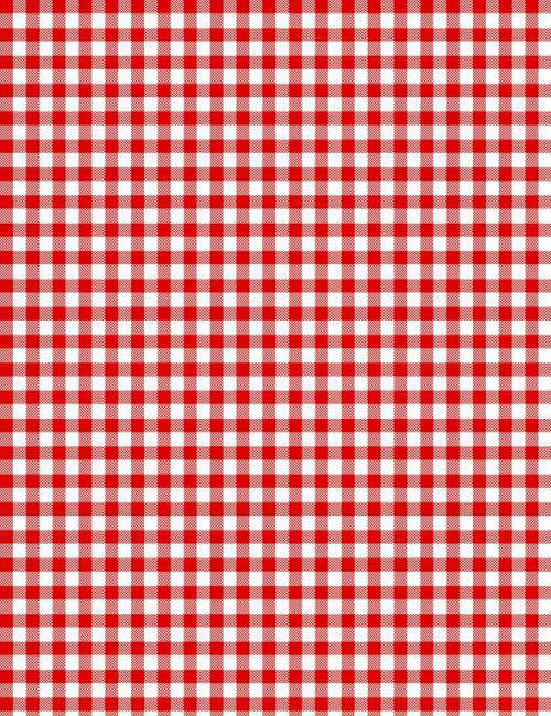 Tea Towel Red Gingham Check