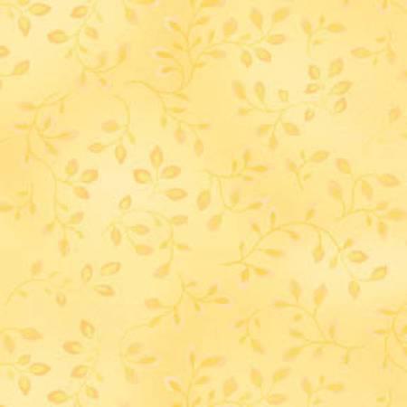 Folio Butter Vines