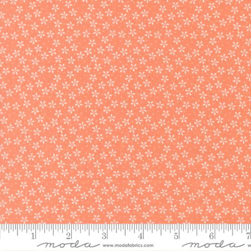 Pastel Prairie Coral Colander Small Floral