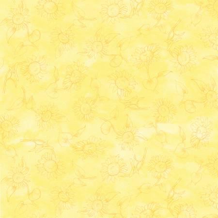 Sunflower Field Yellow Flower Shadow