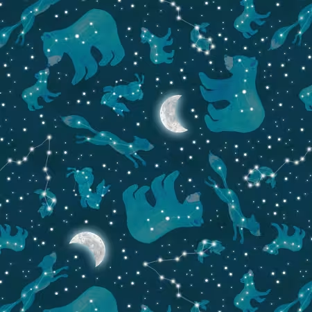 Happy Campers Dark Blue Constellations Minky