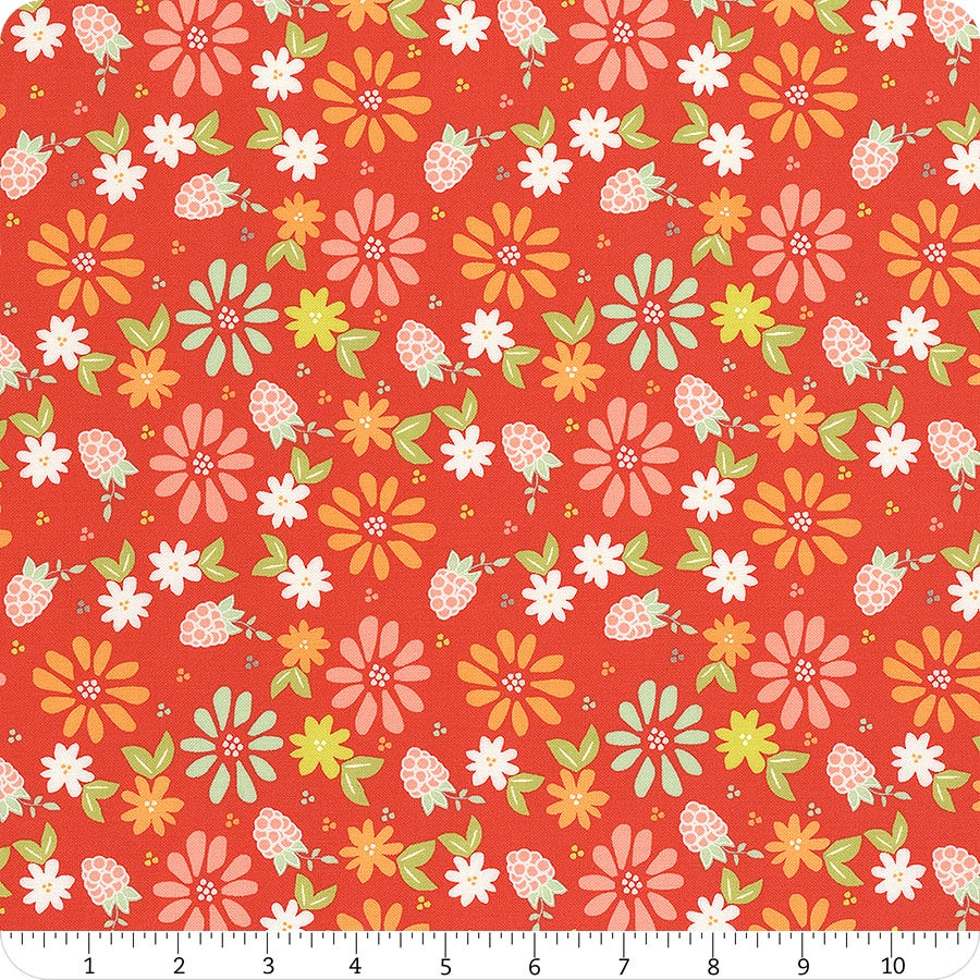 Raspberry Summer Spring Berries