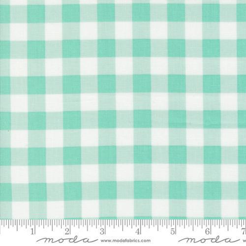 Coriander Colors Aqua Gingham