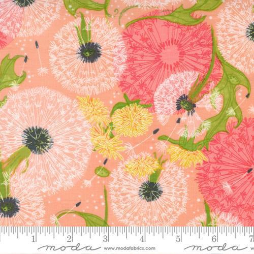 Dandi Duo Peach Dandelions Fields Florals