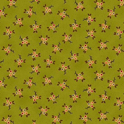 Quiet Grace Berry Springs Kiwi