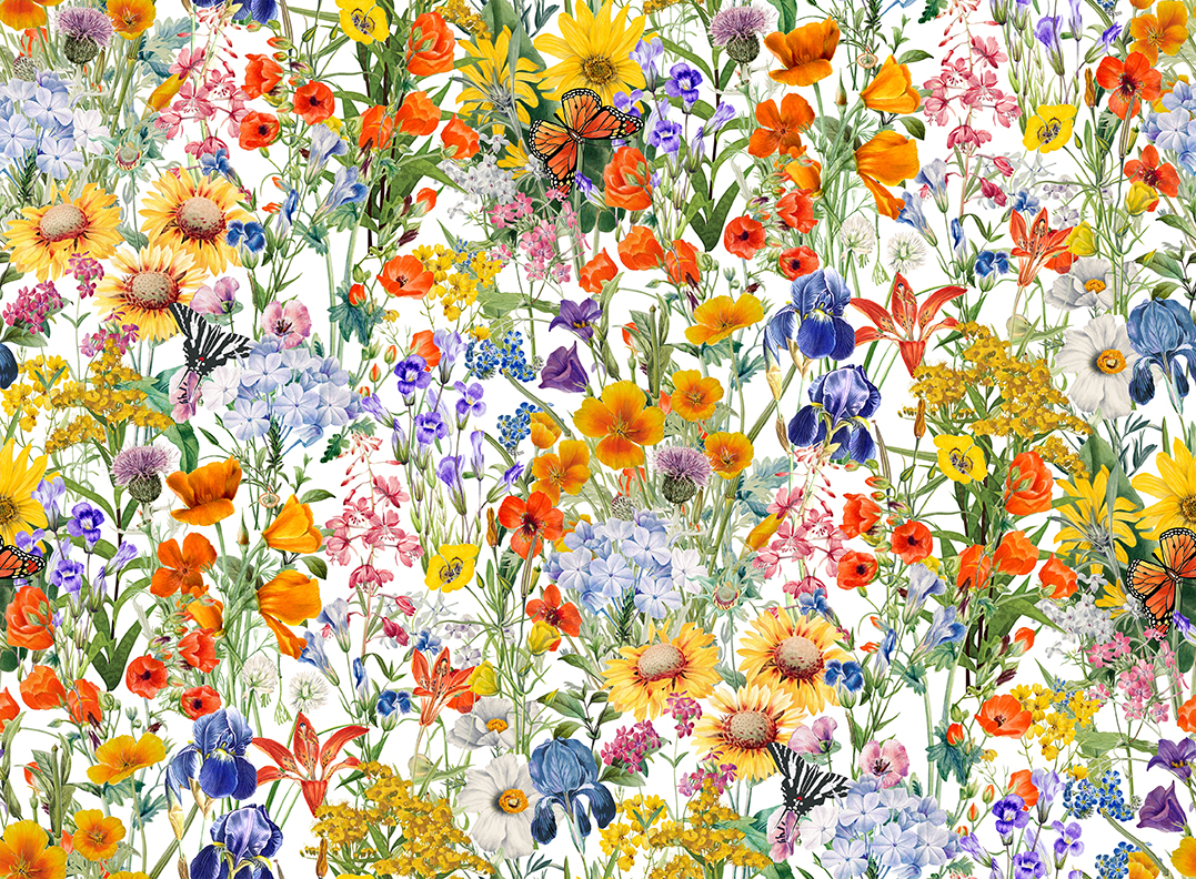 2026 Kentucky Tennessee Shop Hop - Flowers on White