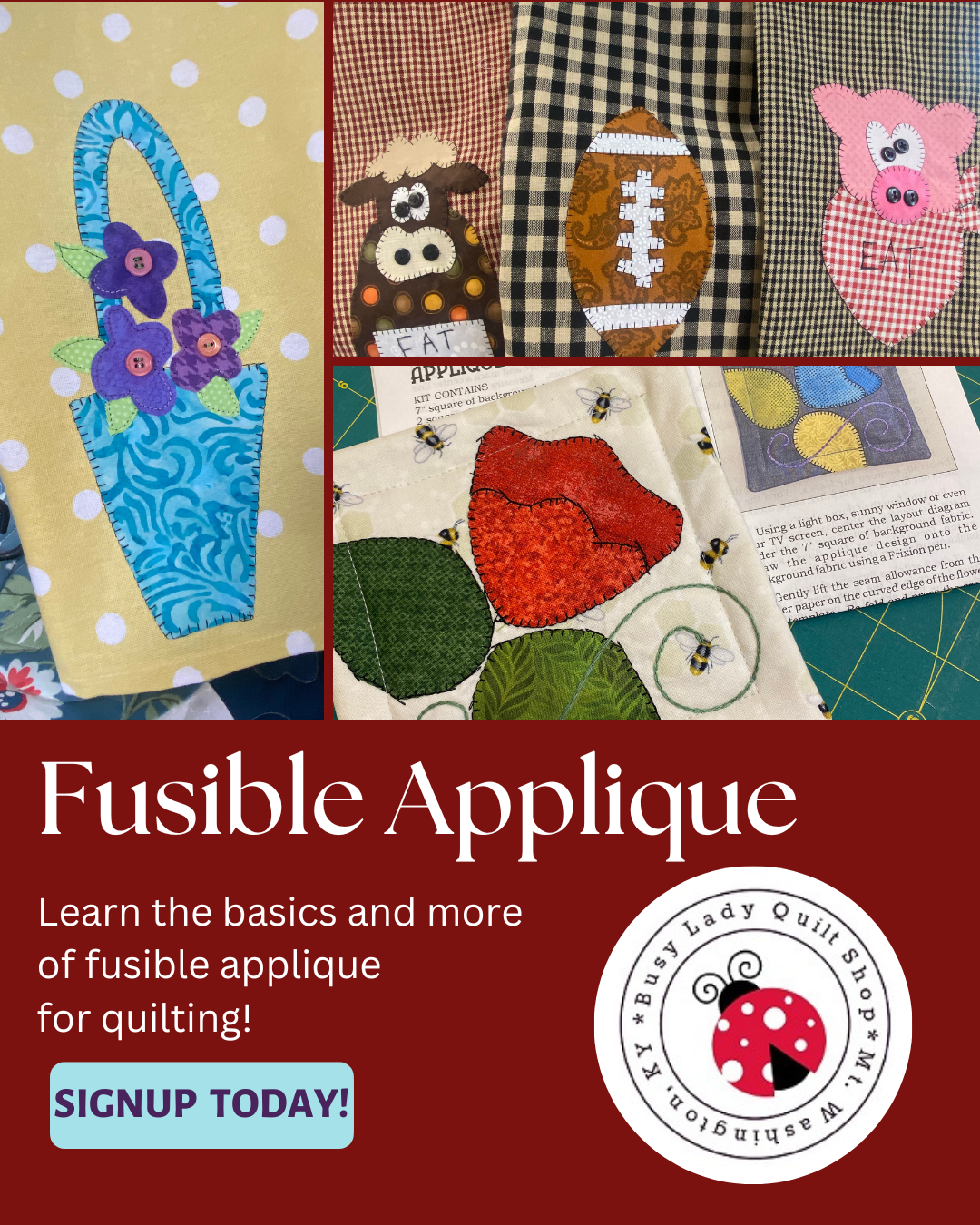 Fusible Applique Class - February 28th