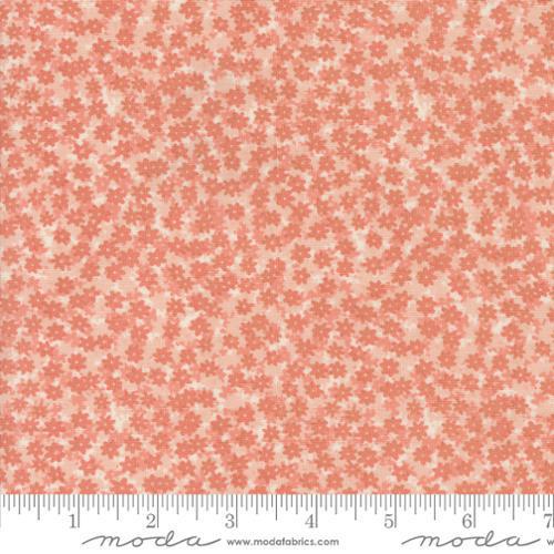 Bee Garden Carnation Floral Phase