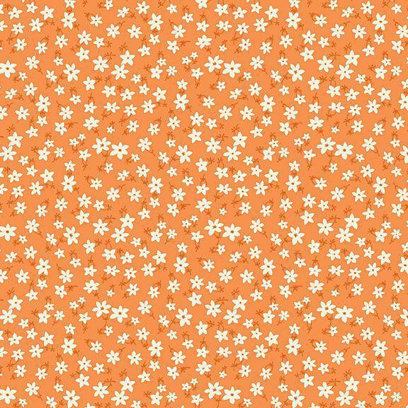 Aunt Grace Garden - Star Flower Orange