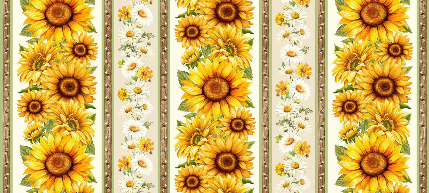 You Are My Sunshine - Stripe