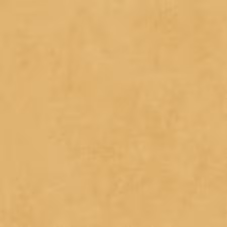 Shadow Play Desert Sand