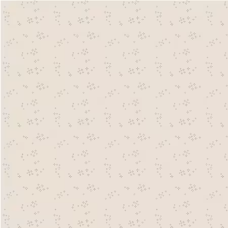 Nature Study Sumac Astra