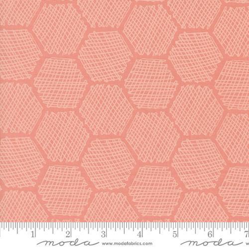 Bee Garden Carnation Honeycomb Geometrics