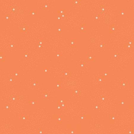 Dainty Daisy Pumpkin