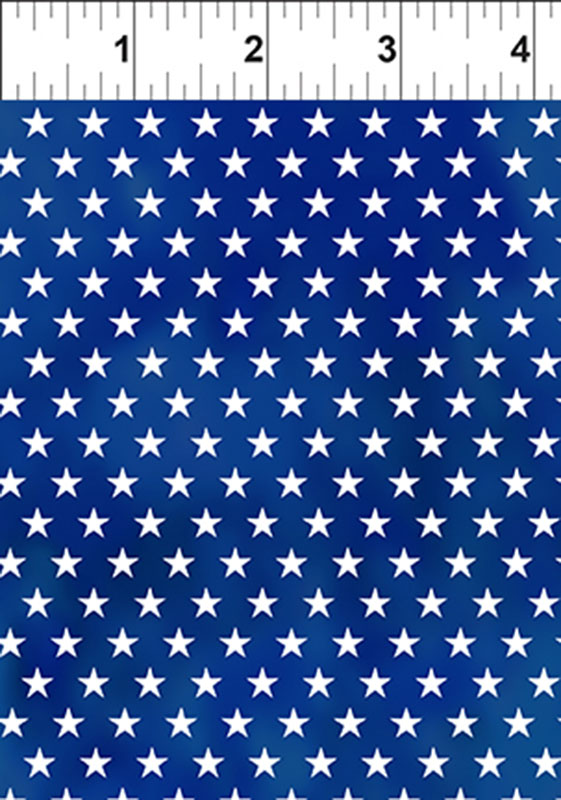 2025 Kentucky Tennessee Shop Hop - Blue Stars