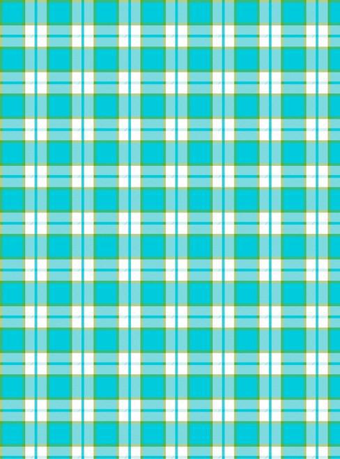 Tea Towel Turquoise Plaid