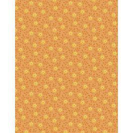 Rainbow Sampler Orange