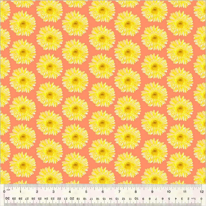 Spring Dreams - Mod Daisy Coral