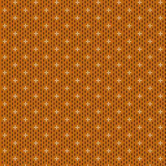 Paula's New Companions - Floating Flowers Cheddar