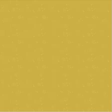 Nature Study Turmeric Astra