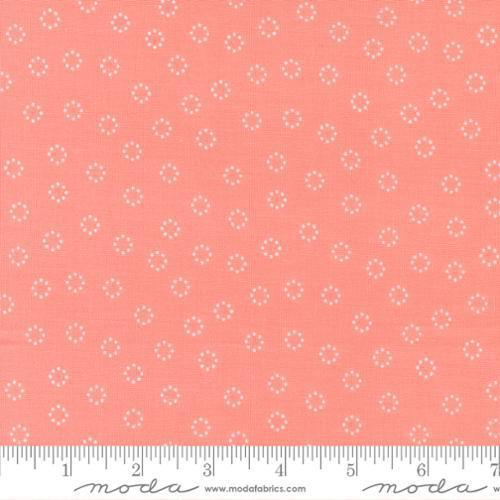 Simply Delightful Carnation Daisy Dot