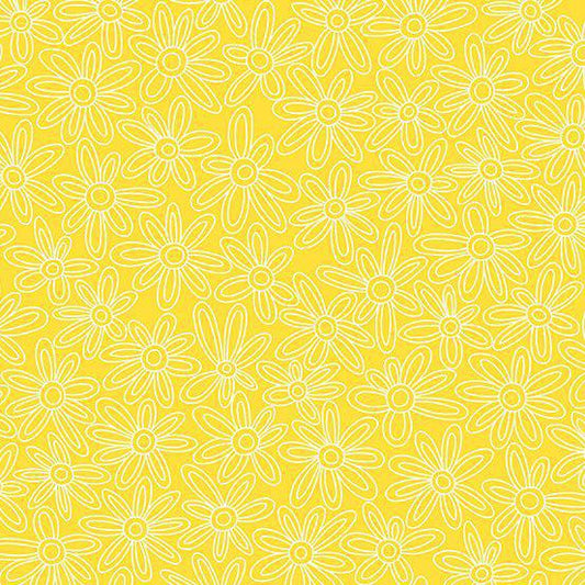 Sugar Pop Sunshine Daisies