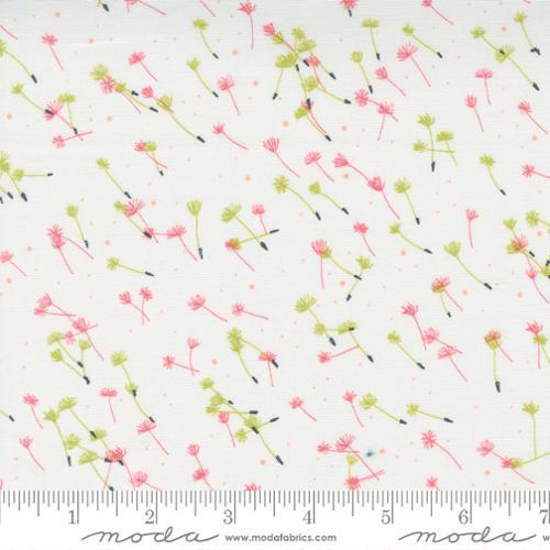 Dandi Duo Cream Flyaway Seeds