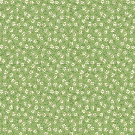 Farmer's Daughter - Bonnet Thyme