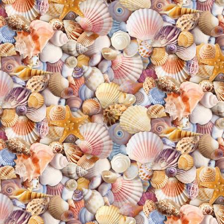 Assorted Packed Beach Shells