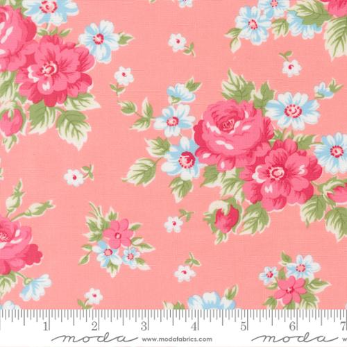 Cat Named Stitch Blush Cabbage Rose