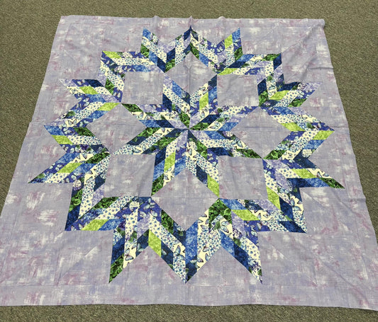 Butterfly Star Quilt Top
