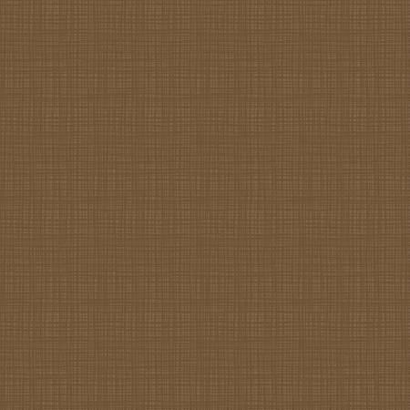 Texture Color Teddy Bear