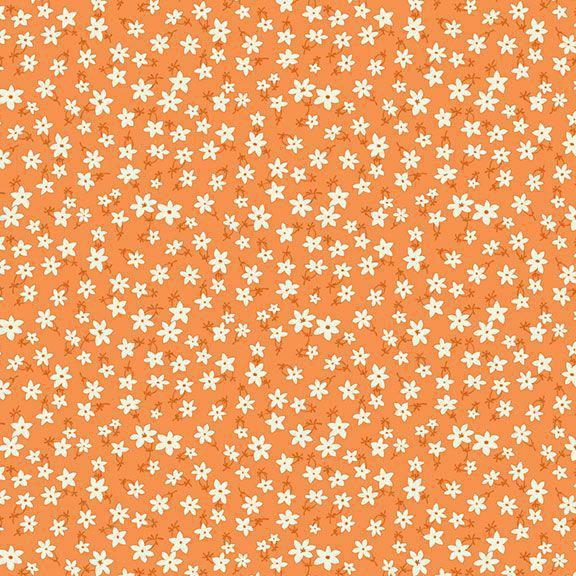 Aunt Grace Garden - Star Flower Orange