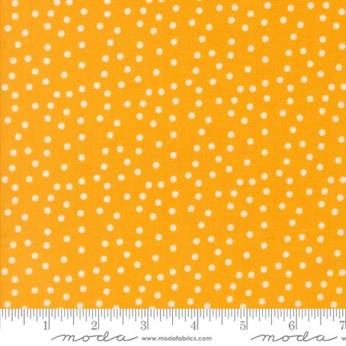 Makers Delight Chrome Small Dots