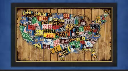 License Plate Map Panel