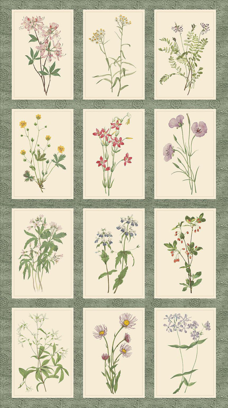 Botanical Floral Prints Panel (24" Wide)