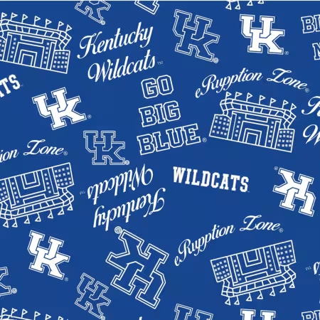 University of Kentucky Mini Stadium Logo