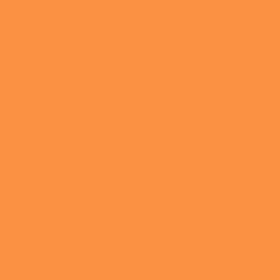 Centennial Solids Orange