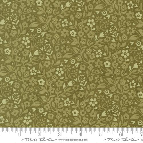 Fieldrush Ivy Basil