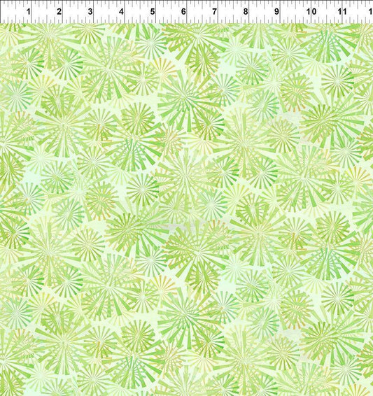Felicity Rays Green