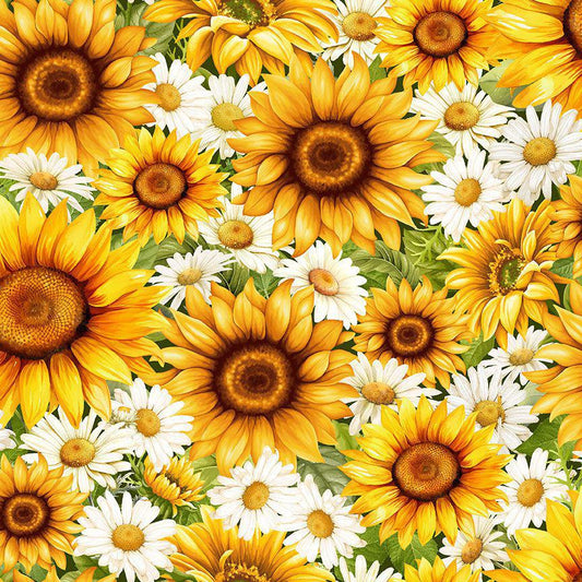 You Are My Sunshine - Packed Daisies & Sunflowers