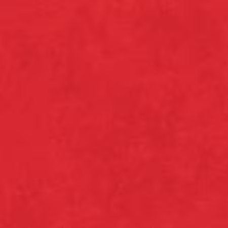 Shadow Play Tulip Red