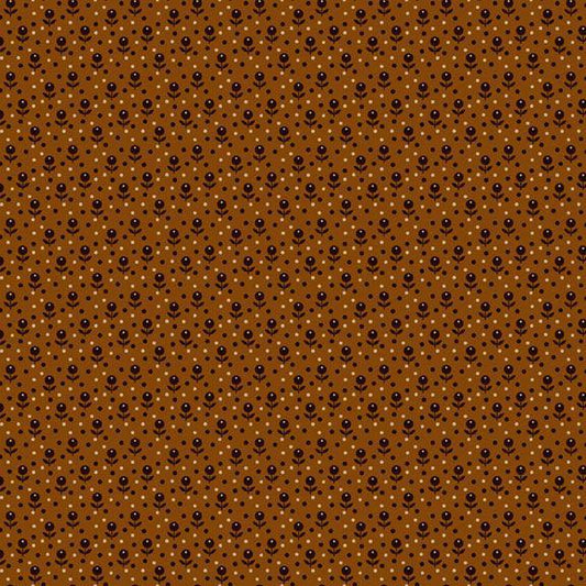 Paula's New Companions - Bud Dot Brown