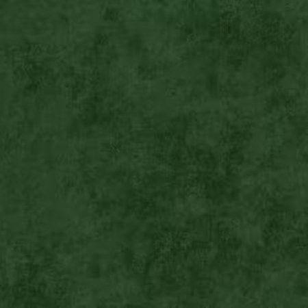 Shadow Play Evergreen