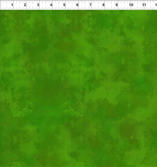 Dit-Dot Evolution - Forest