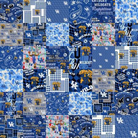 NCAA Kentucky Collegiate Cheater Quilt